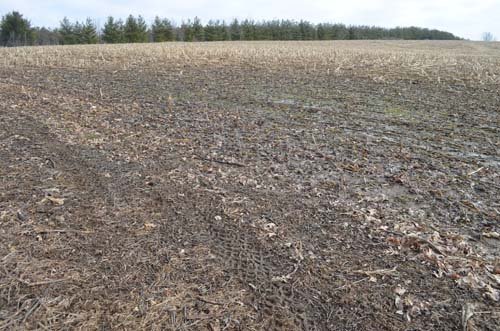 Property photo 62 - 98+/- Acres Offered in 6 Tracts or Combinations, Noble County, Indiana Farm